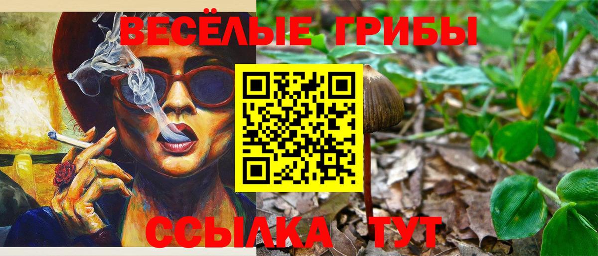 Галлюциногенные грибы GOLDEN TEACHER Йошкар-Ола